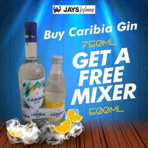 Caribia Gin 750ml + Mixer 500ml